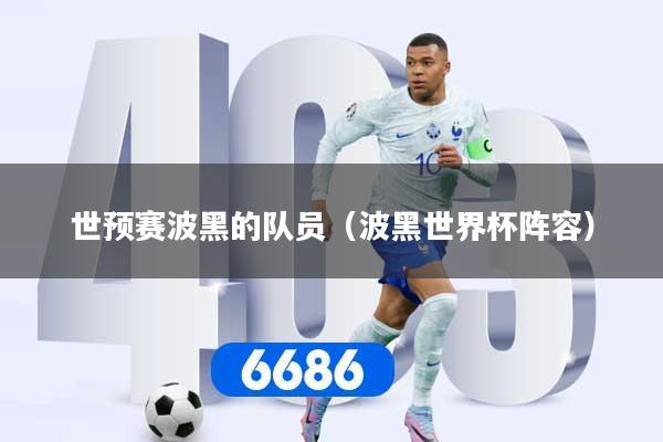 世预赛波黑的队员（波黑世界杯阵容）